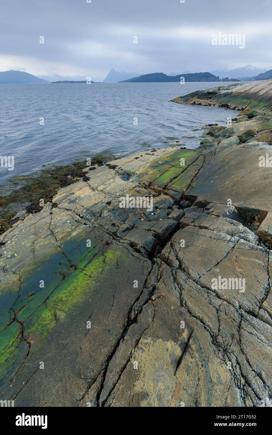 Alge Plus Rocks Algae on seaside rocks hi-res stock photography and images - Alamy
