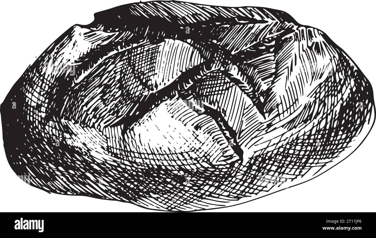 Vector graphic illustration of bread . Black and white sketch on a ...