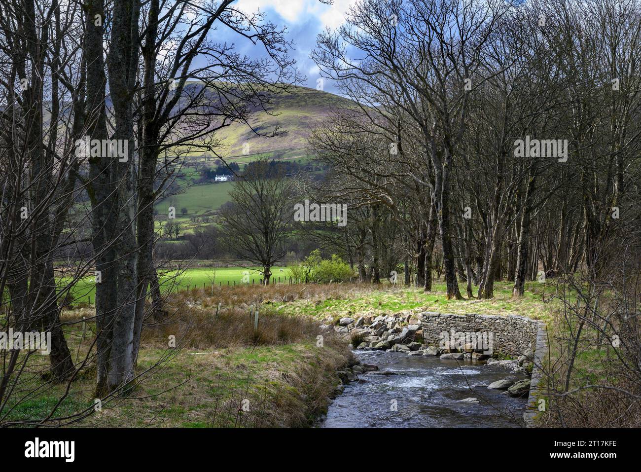 Cumbria, England, UK. Typical scene in the North Western Lake District near Bassenthwaite Stock Photo