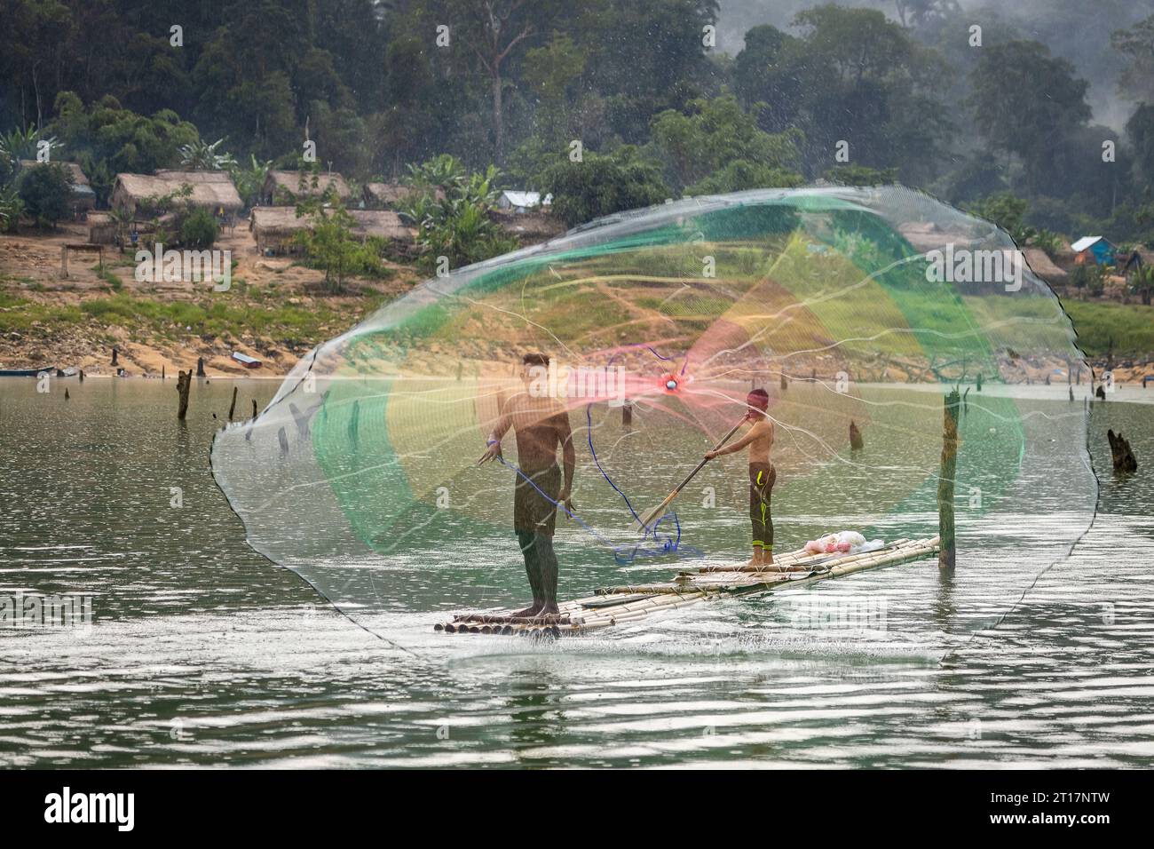Indigenous people in Royal Belum Perak using net to catch fish Stock ...