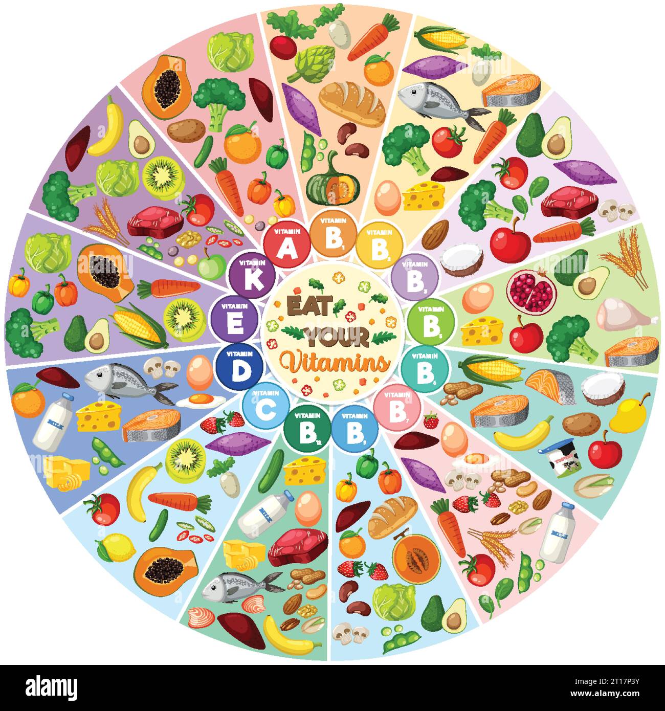 Illustration of food vitamins grouped by type in a circle diagram Stock Vector Image & Art Alamy