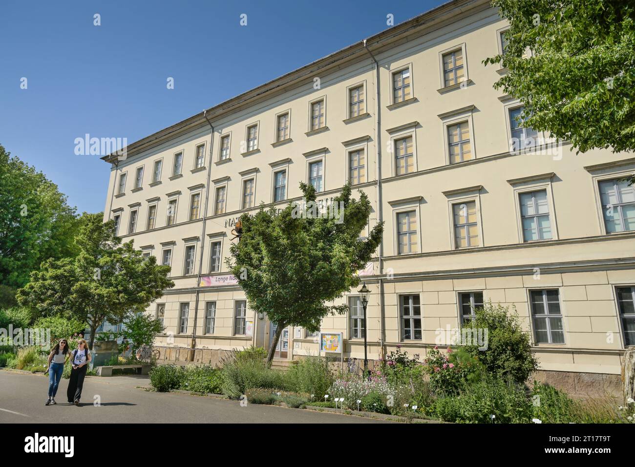 Naturkundemuseum, Lortzingstraße, Leipzig, Sachsen, Deutschland Stock 