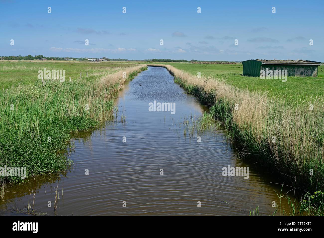 Sii, Entwässerung, Kanal, Wiesen südlich von Tinnum, Sylt, Schleswig-Holstein, Deutschland Stock Photo