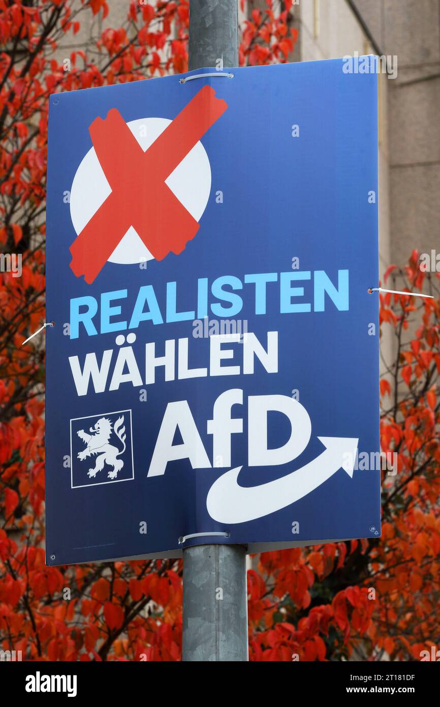 AfD-Fanshop Aufkleber Wir lieben Deutschland