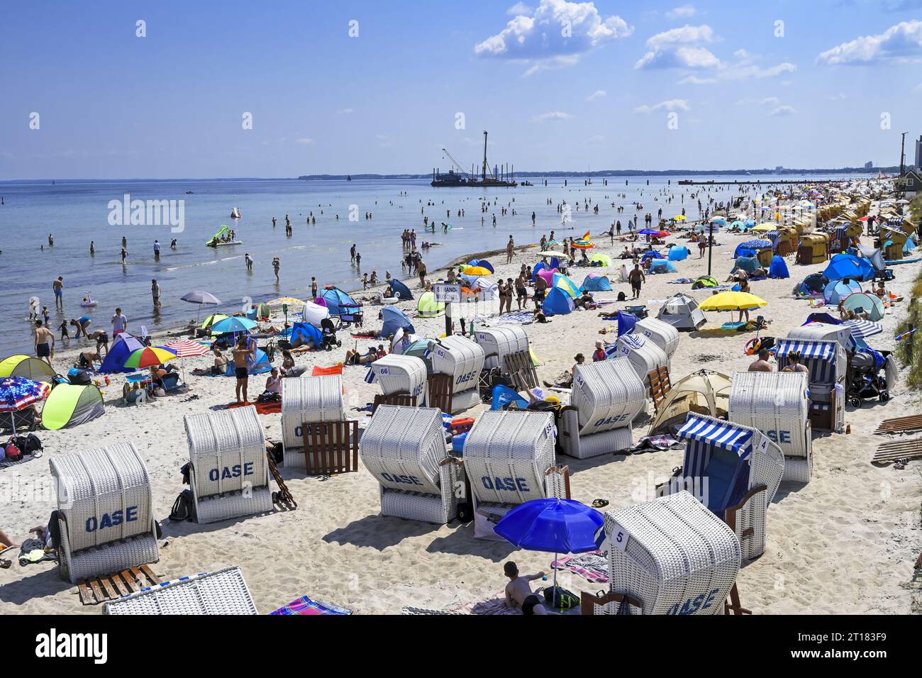 Strandmuschel hi-res stock photography and images - Alamy