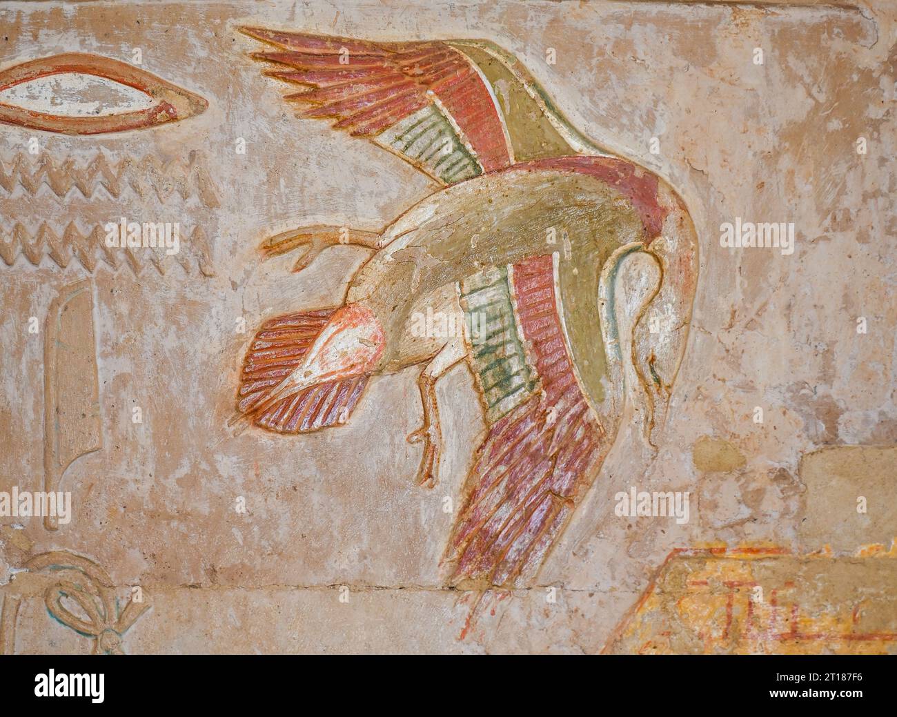 Farbiges Relief Vogel in der Anubis-Kapelle, Tempel der Hatschepsut, West-Theben, Ägypten Stock Photo