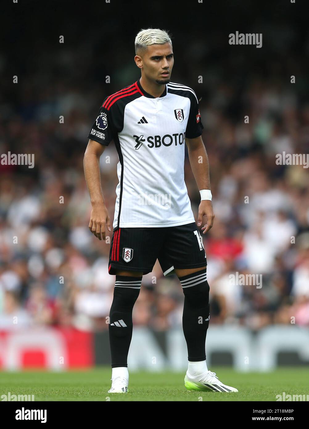 LONDON, UK - 29th Aug 2023: Andreas Pereira of Fulham FC scores his penalty  past Fraser Forster of Tottenham Hotspur in the shoot-out during the EFL  Stock Photo - Alamy