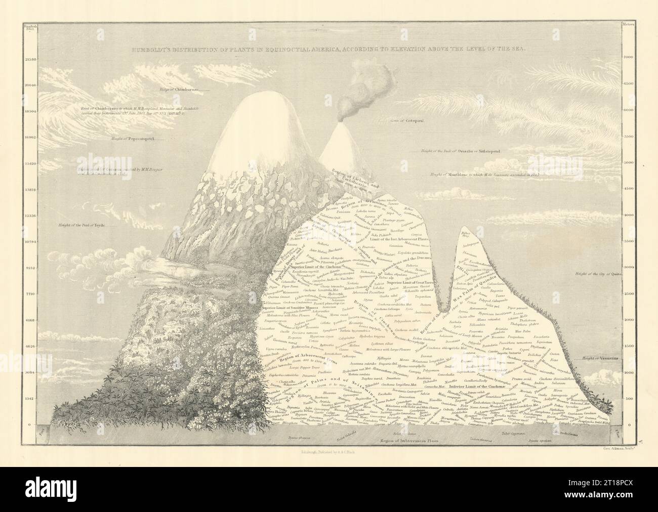 Humboldt 39 s plant distribution in - Humboldts Plant Distribution In Equinoctial America Sidney Hall 1854 Map 2T18PCX