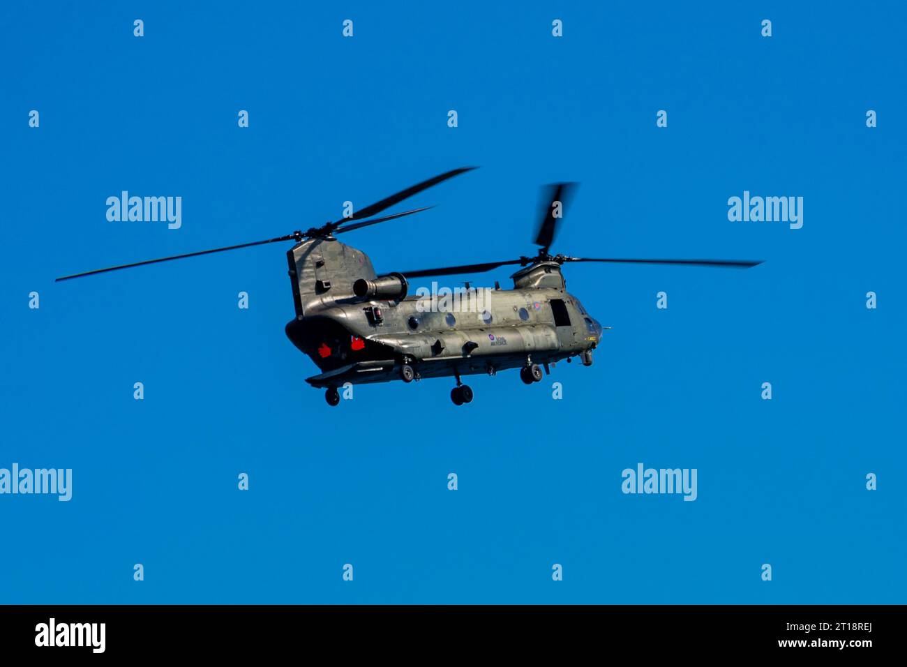 RAF HC6A Chinook helicopter display at the 2023 Bournemouth Air