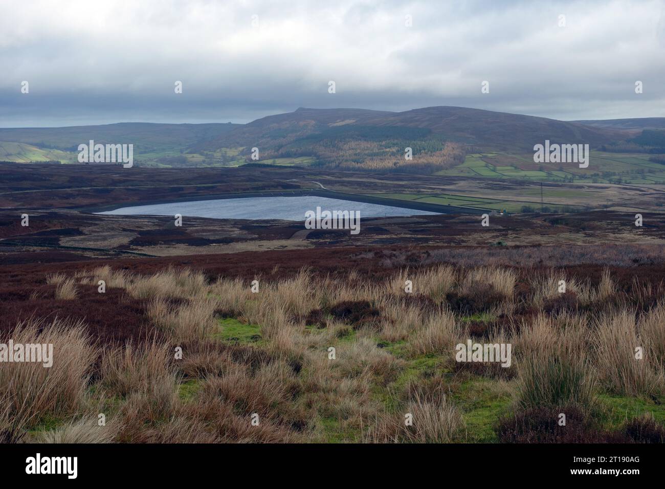 Lower Barden Reservoir and Simon's Seat on Barden Fell from Hutchen Gill Head near Embsay, Airedale, Yorkshire Dales National Park, England, UK Stock Photo