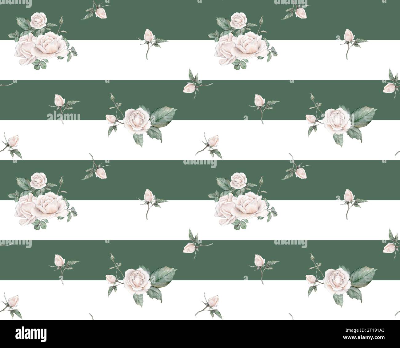 White roses seamless pattern striped. White roses arrangement ...