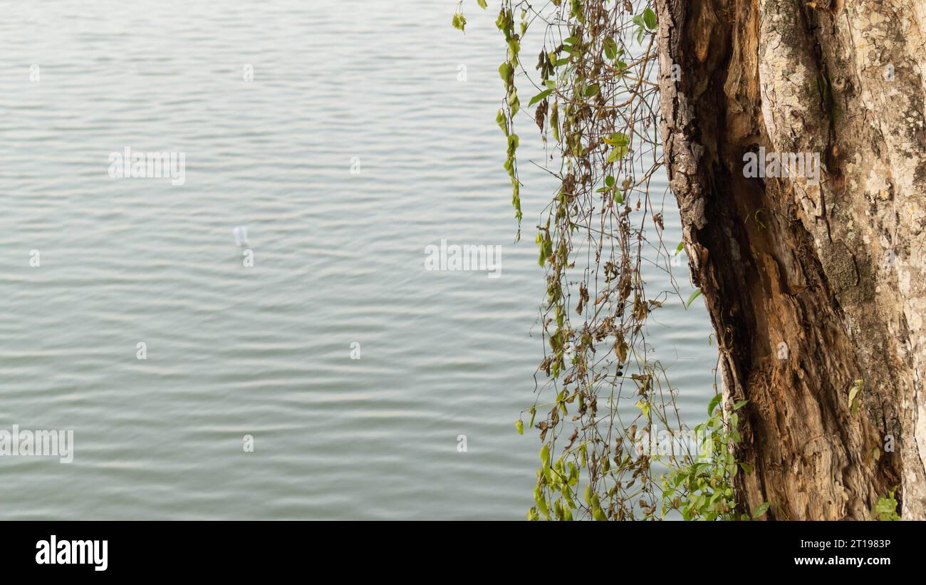 Beautiful landscape of rivers and mountains in Benteng Pinrang village ...