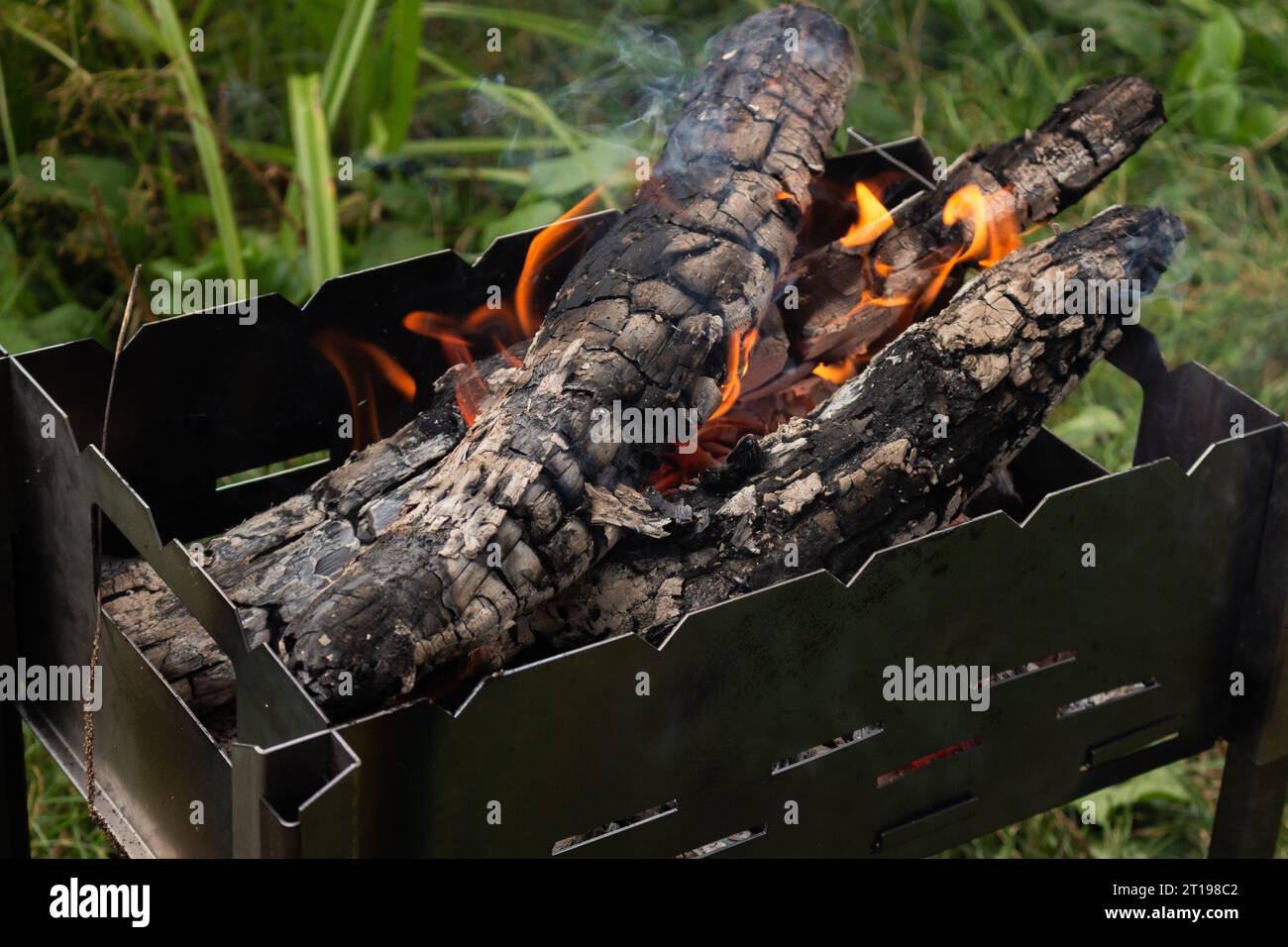 Firewood in the forest. Barbecue grill on the lawn. Burning logs on the grill. Autumn picnic. Fireplace with flame and smoke. Camping with BBQ. Stock Photo