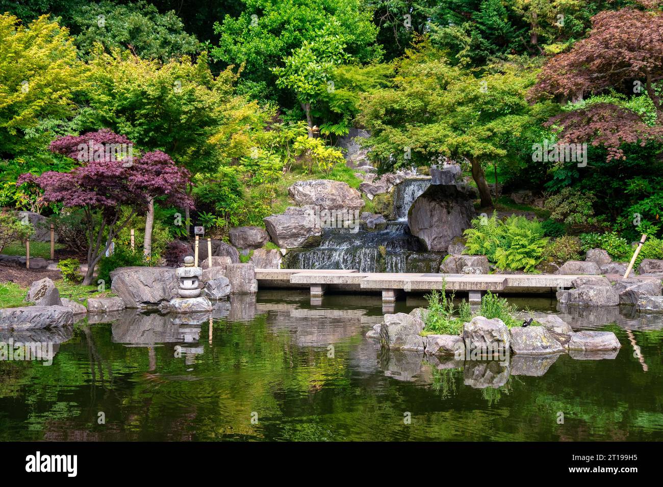 Beautiful traditional Japanese style Garden with a small waterfall