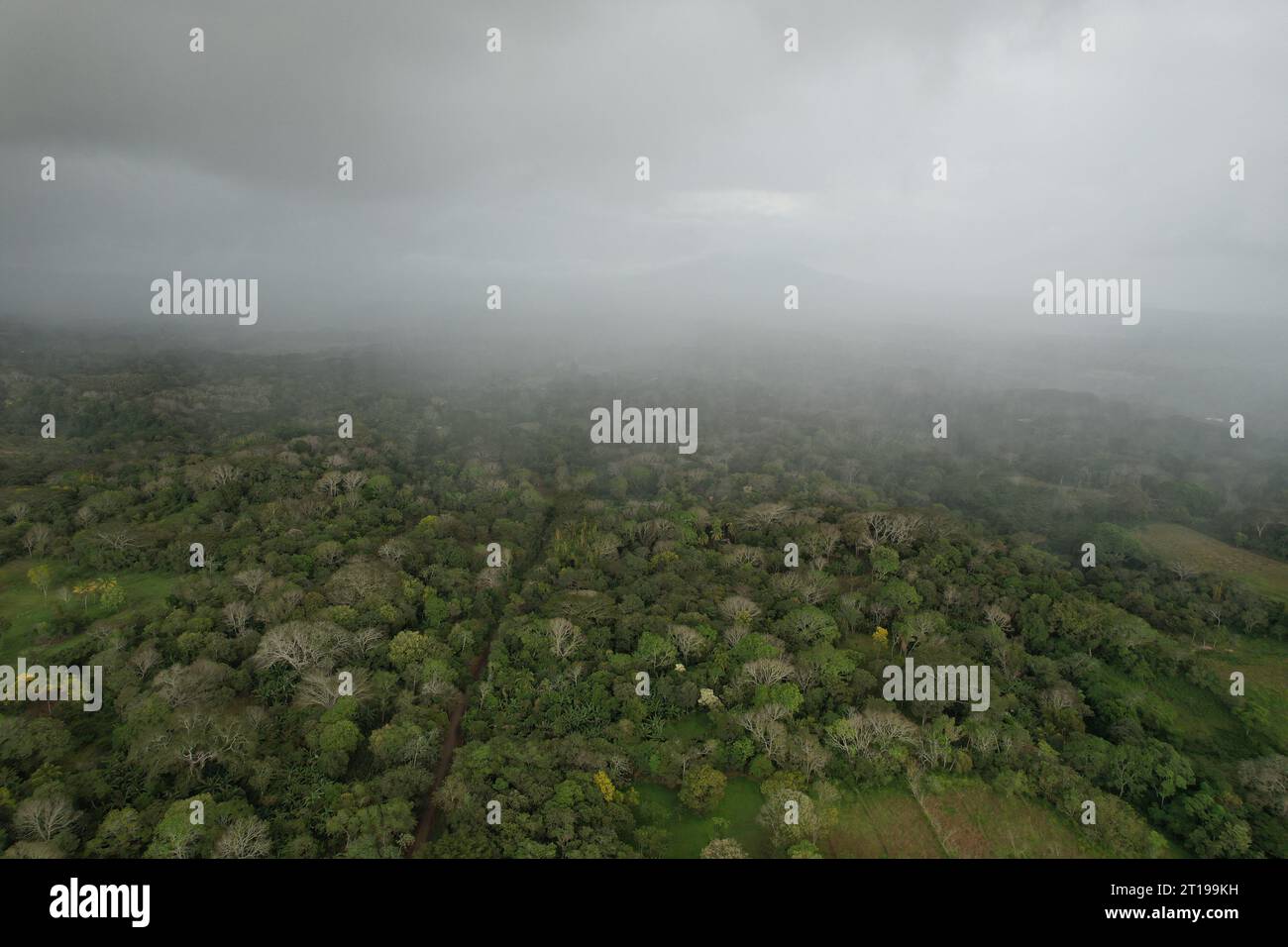 Fog over tropical jungle landscape aerial drone view Stock Photo