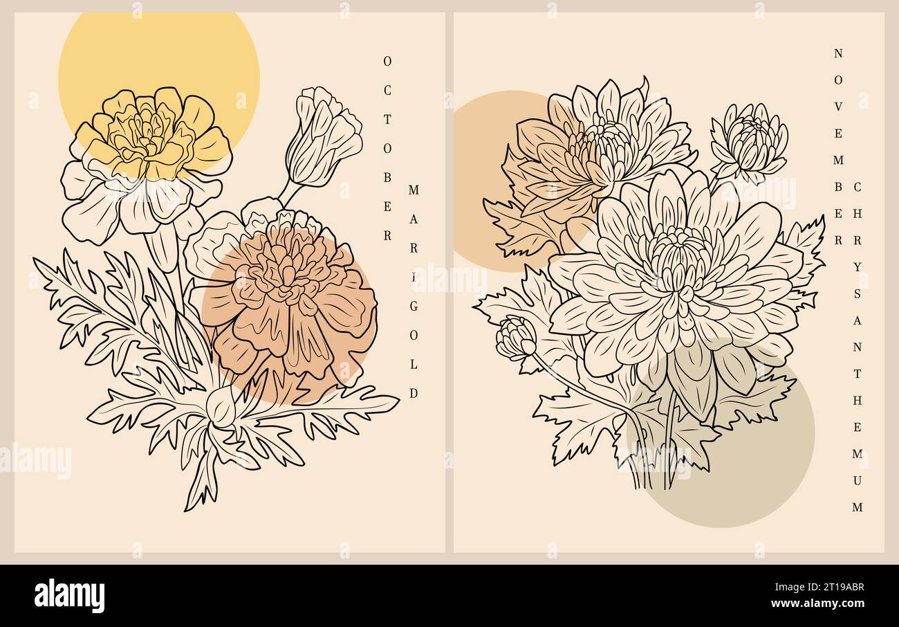 Set of Boho aesthetic botanical vector wall arts.  Stock Vector