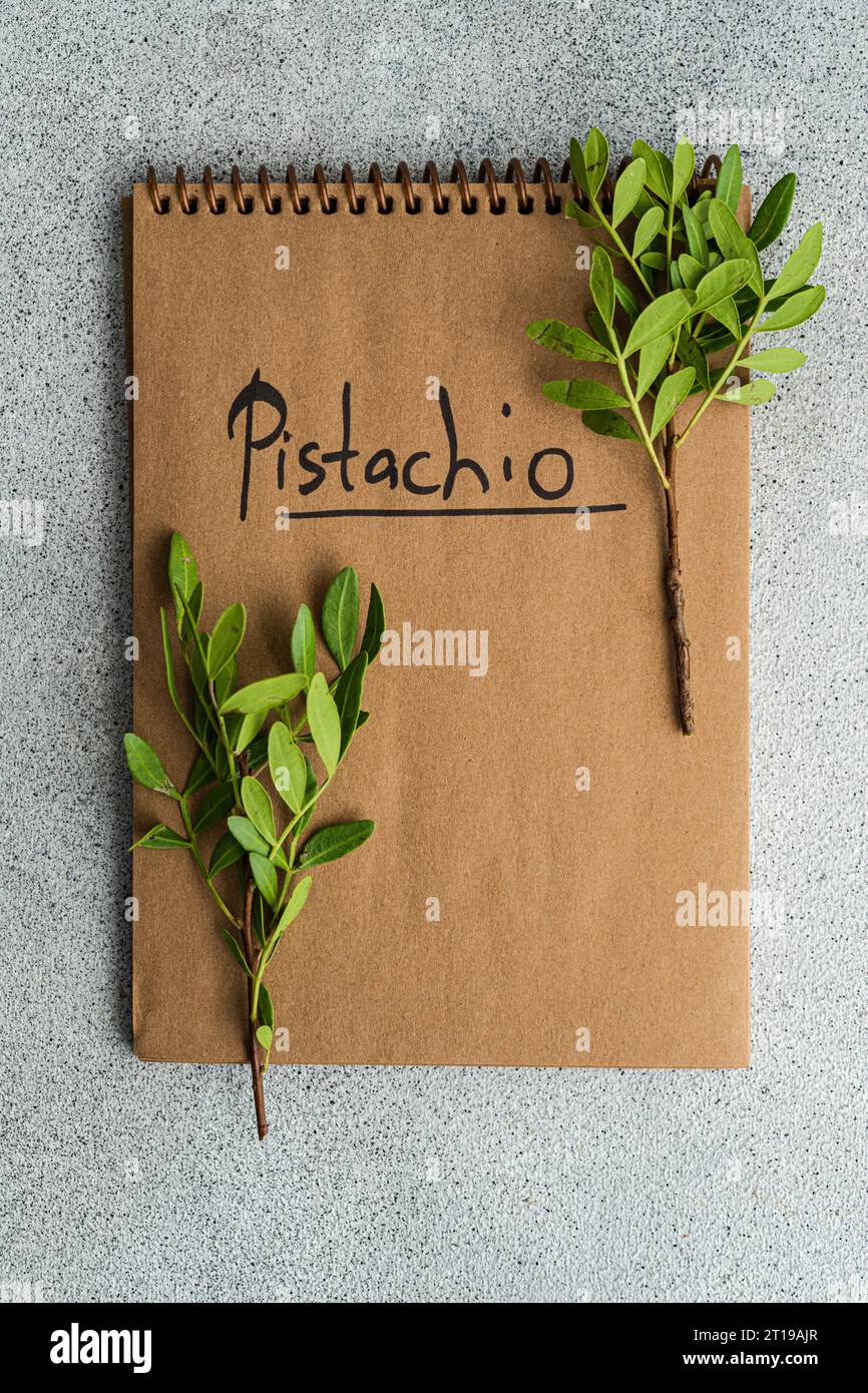 Overhead view of pistachio branches on a notepad with the word pistachio Stock Photo