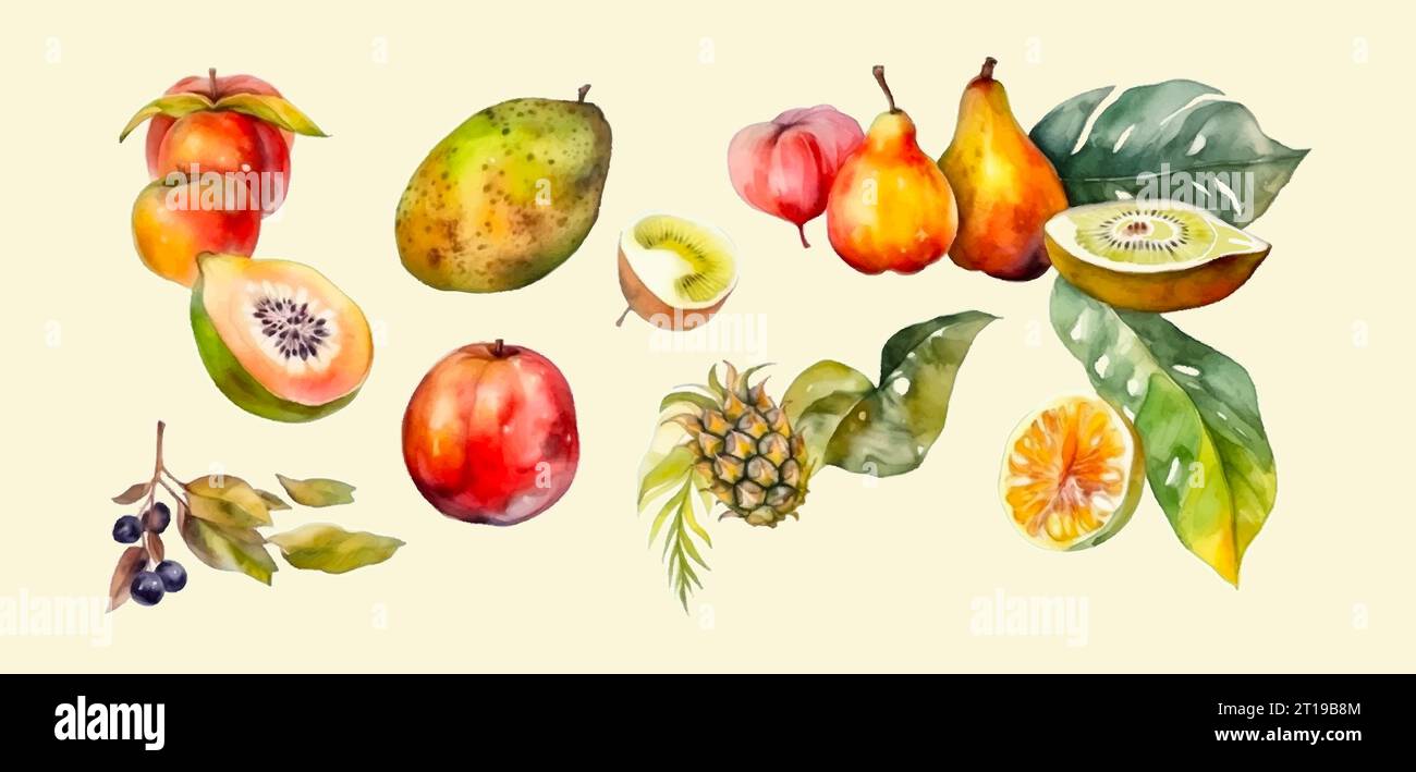 Green chili fruits Stock Vector Images - Alamy
