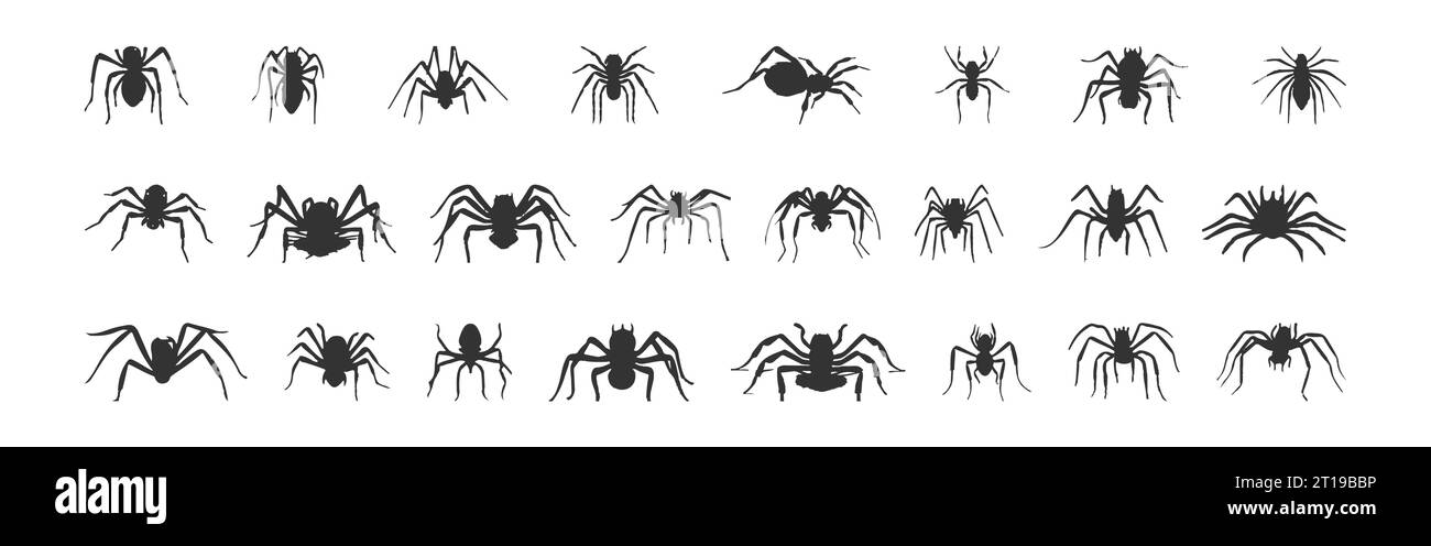 Set of black silhouettes of spiders isolated on white background, vector illustration Stock Vector