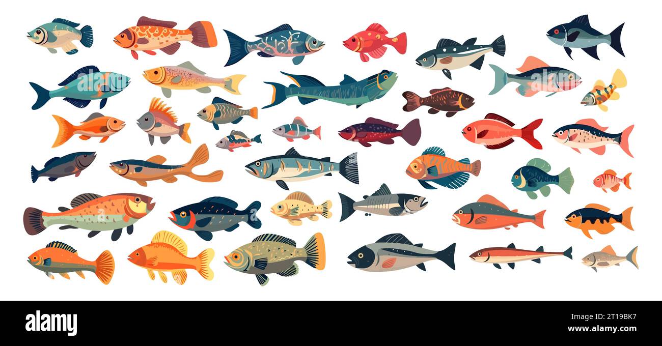 Set of fish, flat cartoon isolated on white background. Vector illustration Stock Vector