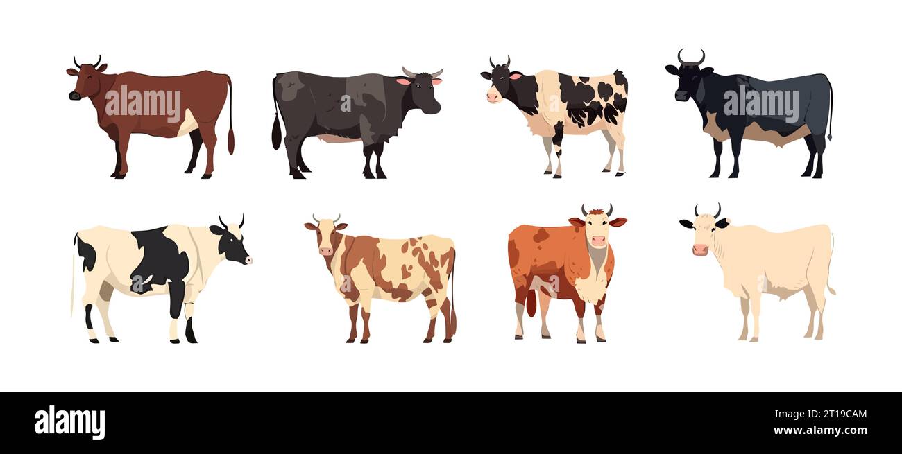 Cow, farm animal set flat cartoon isolated on white background. Vector isolated illustration Stock Vector