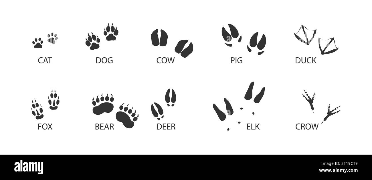 Animal tracks black set icon. Foot print of animal and bird. Vector isolated illustration Stock Vector