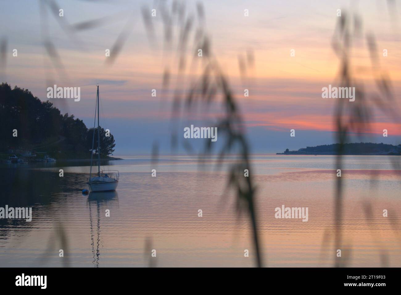 sunset Stock Photo