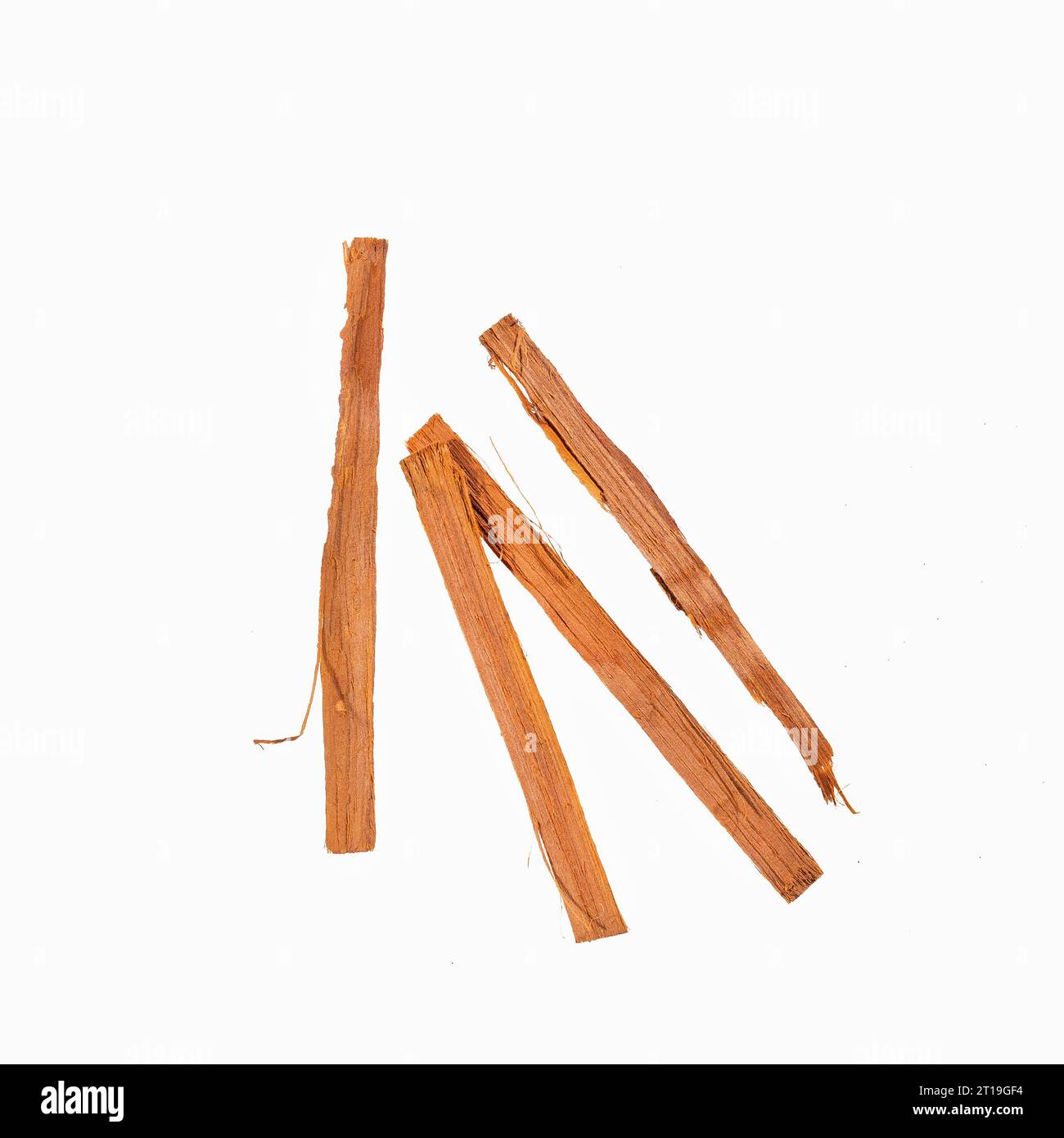 Cat's claw with antiinflammatory properties Uncaria tomentosa Stock