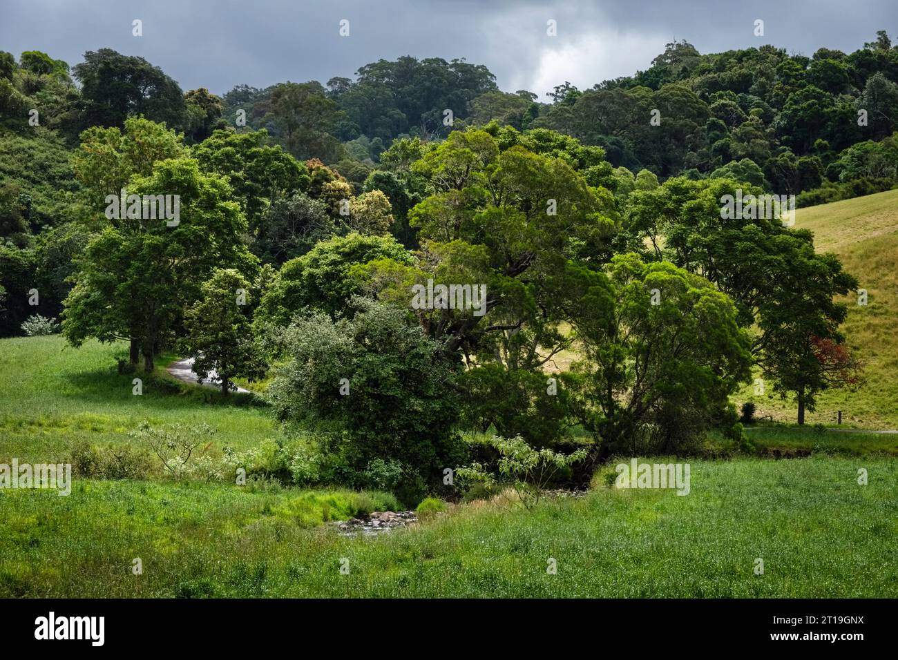 Beautiful Australian countryside - a pastoral scene beside Fountaindale Creek, near Kiama, New South Wales, Australia Stock Photo