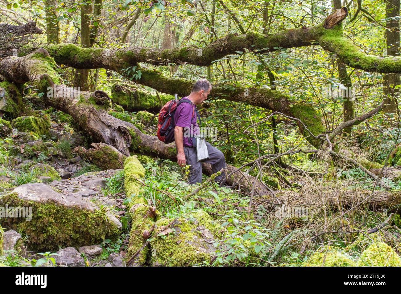Survival in the Forest. Hike with a Backpack in Nature. Hobby Men`s Hunting  and Fishing Stock Photo - Image of backpacker, angler: 183134798