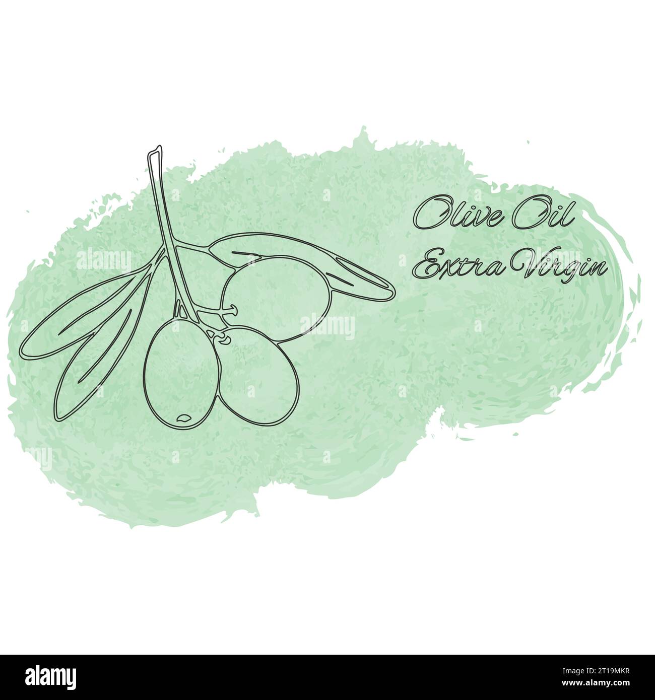Olive oil extra virgin background. Vector illustration Stock Vector ...