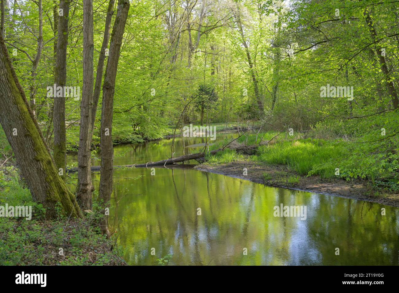 Holdenstedter hires stock photography and images Alamy
