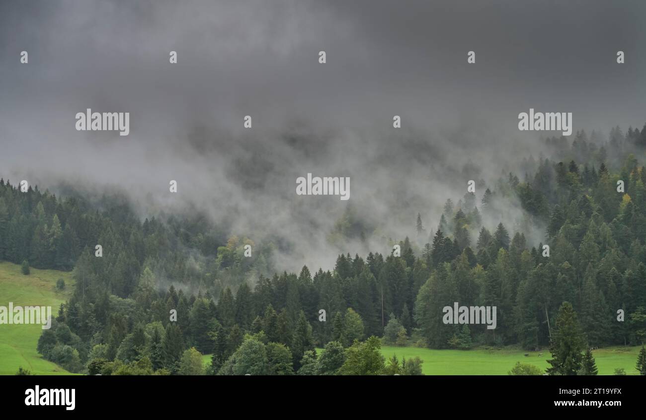 Regen, Wolken, Wiese, Nadelwald, Hagspiel, Weißachtal, Allgäu, Bayern, Deutschland Stock Photo