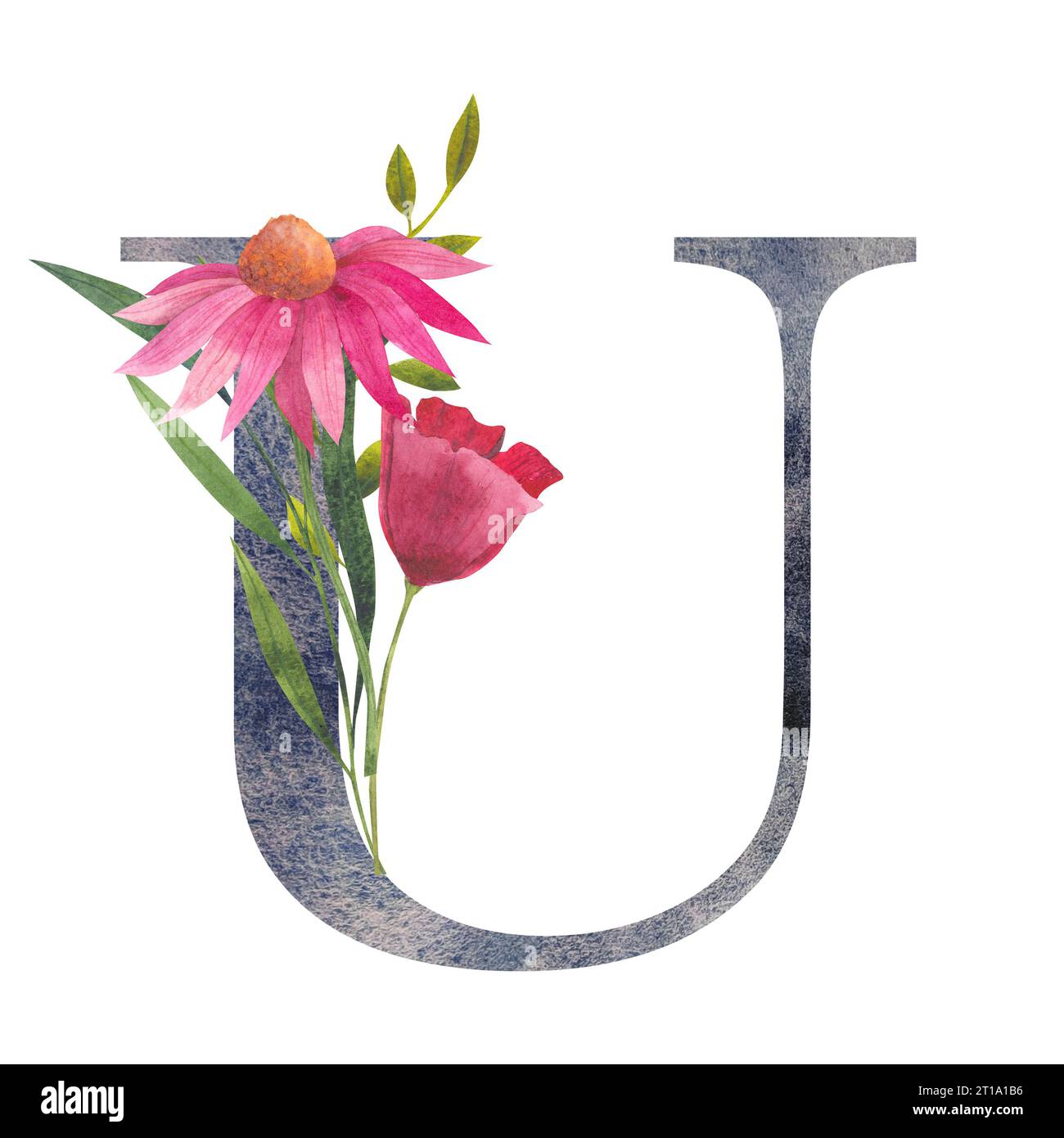 Premium Vector  Floral botanical alphabet vintage hand drawn monogram  letter u letter with plants and flowers
