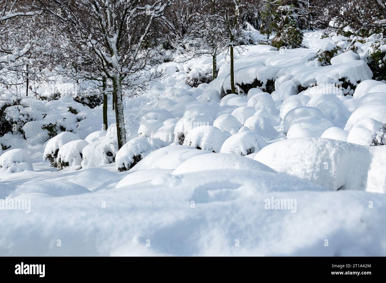 snowy scenery Stock Photo