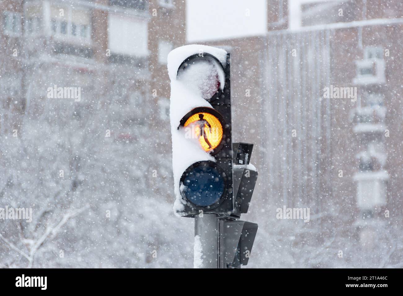 traffic light in a winter day Stock Photo
