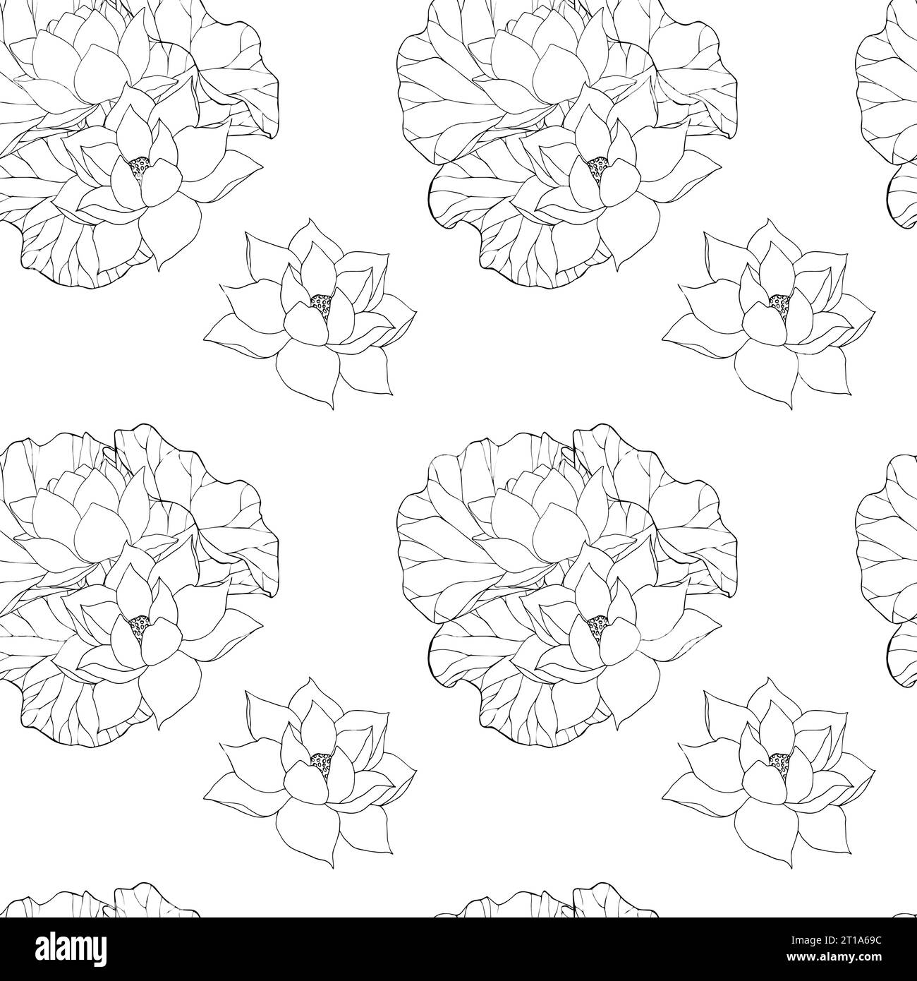 Seamless pattern with vector hand drawn lotus flowers and buds, huge ...