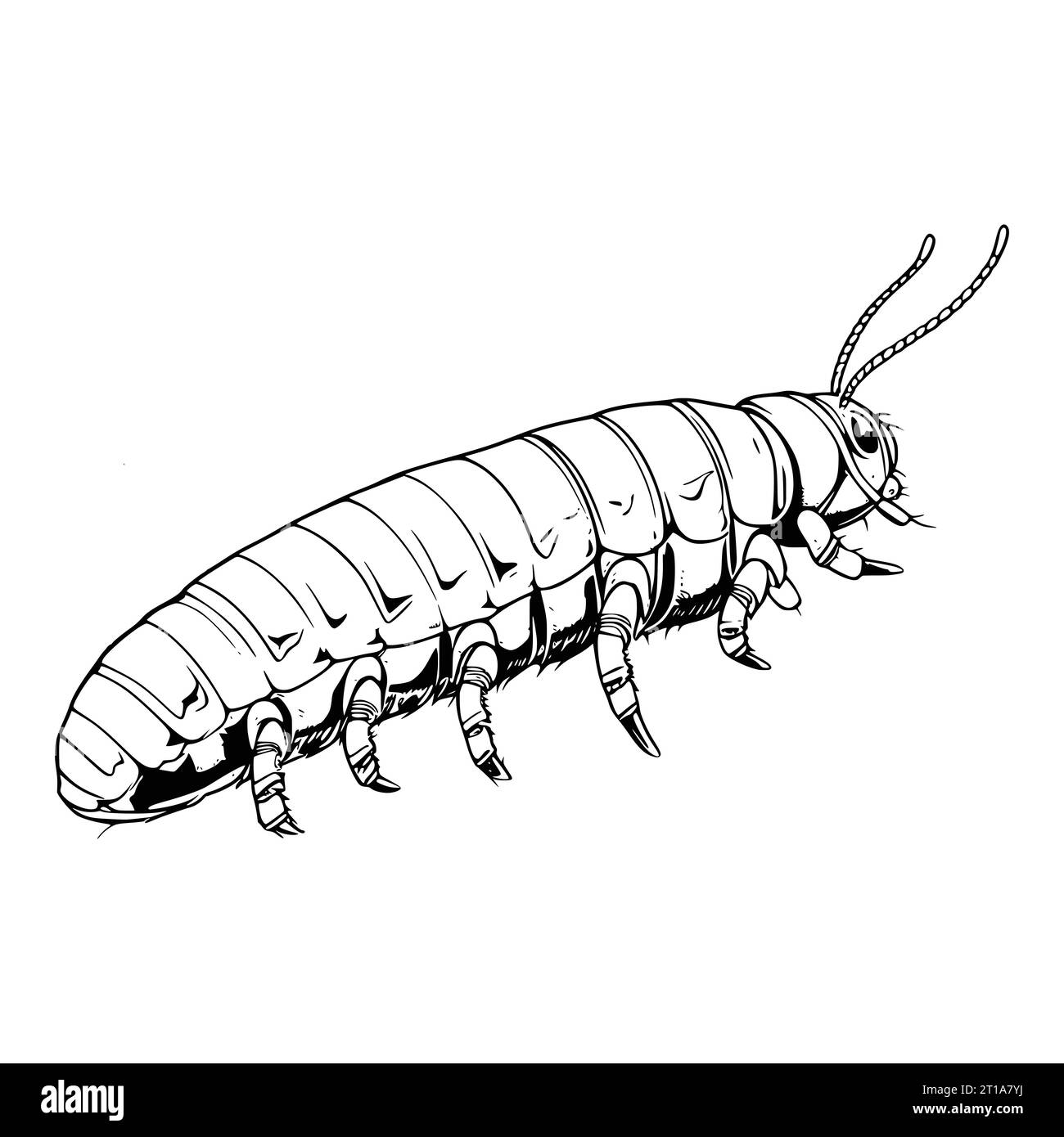 Armyworm Coloring Page for Kids Stock Vector