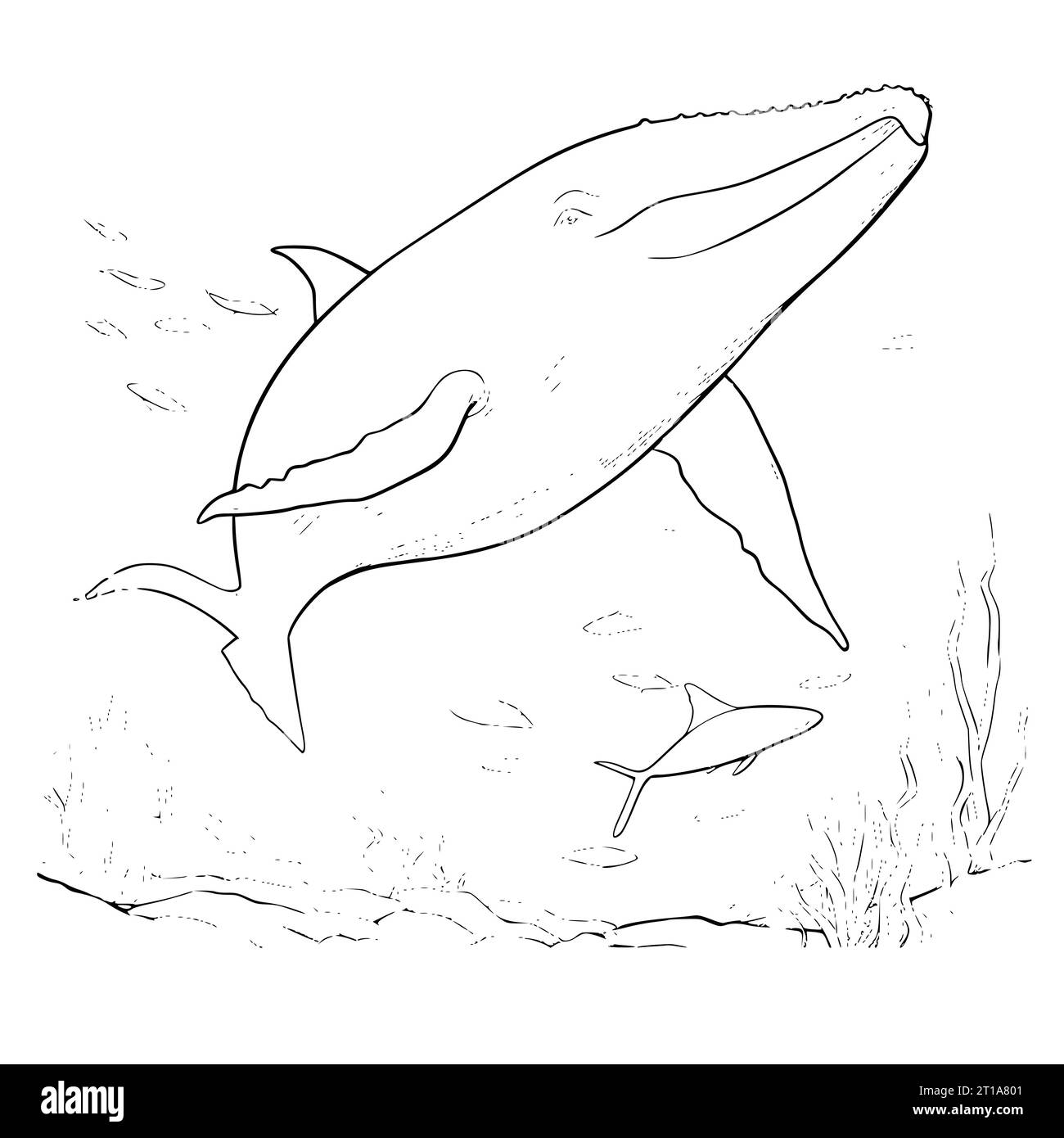 Blue Whale Coloring Pages Drawing For Kids Stock Vector