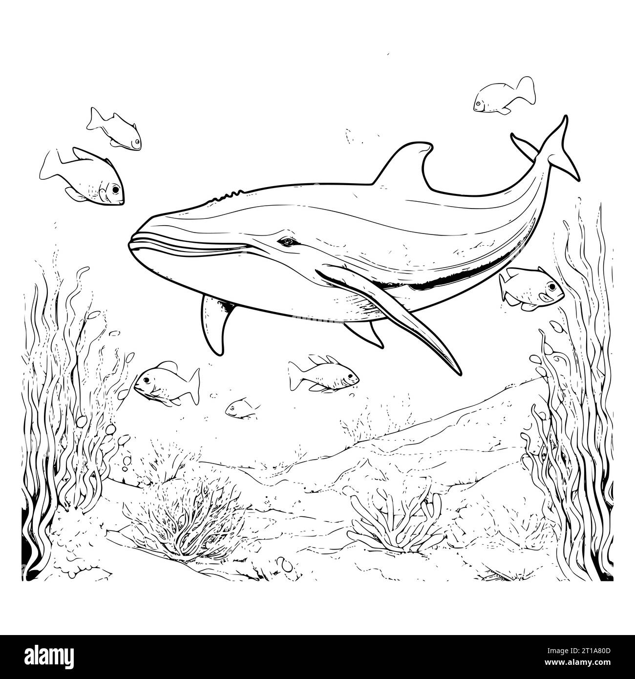 Blue Whale Coloring Pages Drawing For Kids Stock Vector