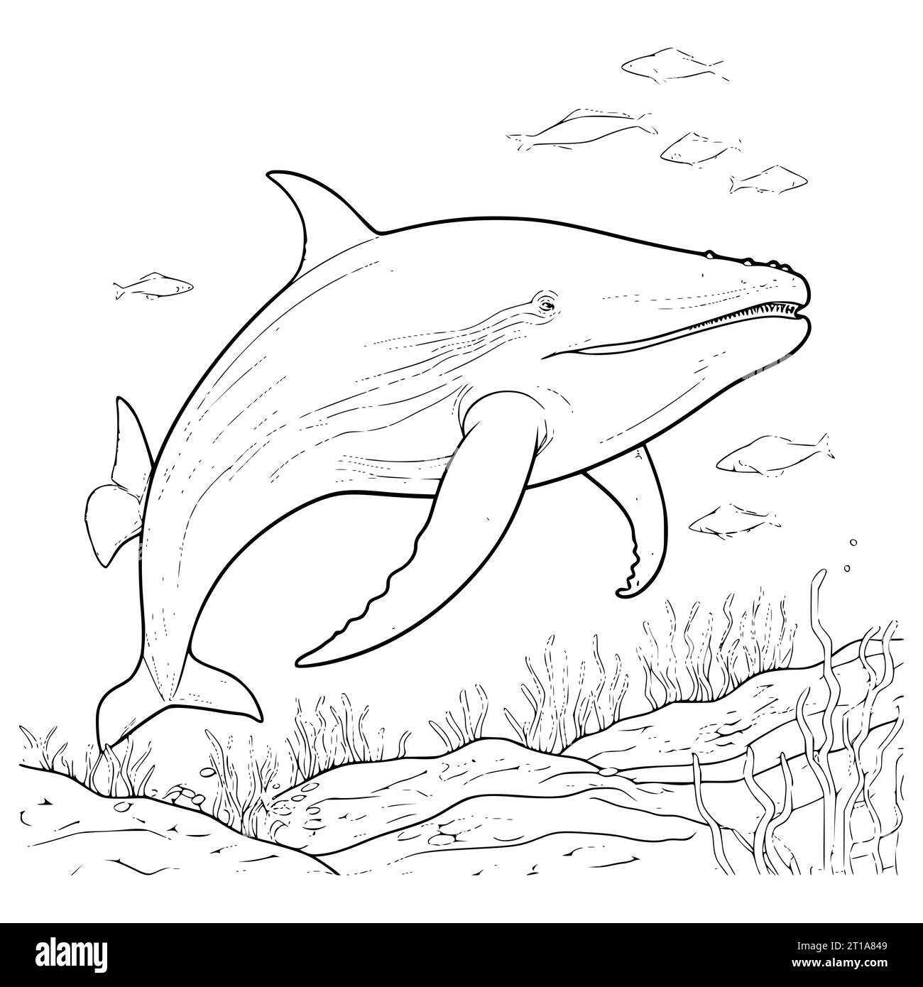 Blue Whale Coloring Pages Drawing For Kids Stock Vector