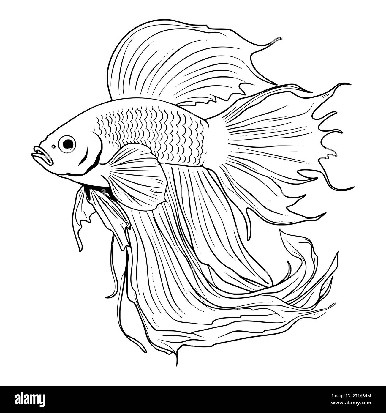 Fish coloring pages printable Cut Out Stock Images & Pictures - Alamy