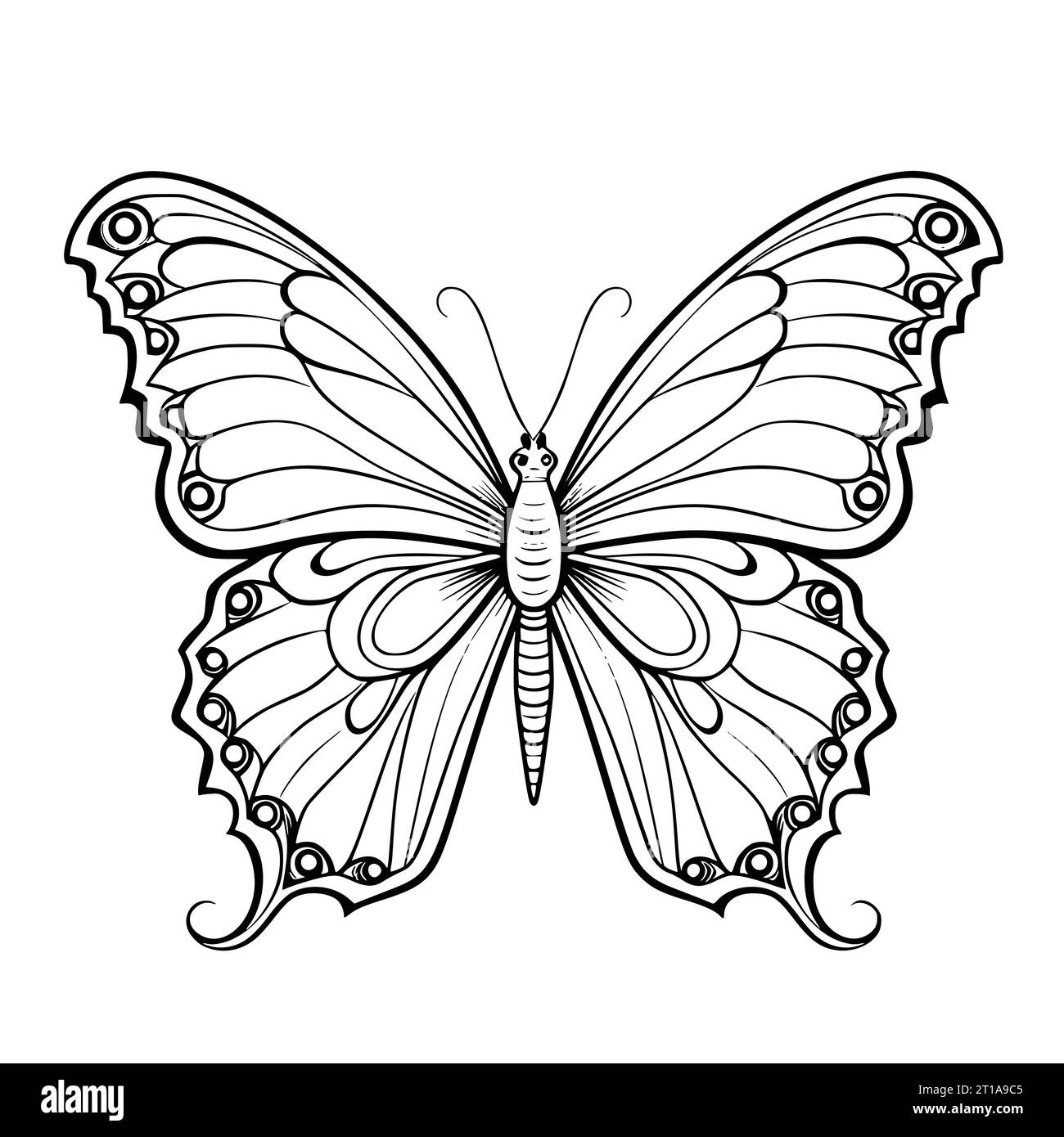 Butterflies Fly Coloring Pages Drawing For Kids Stock Vector