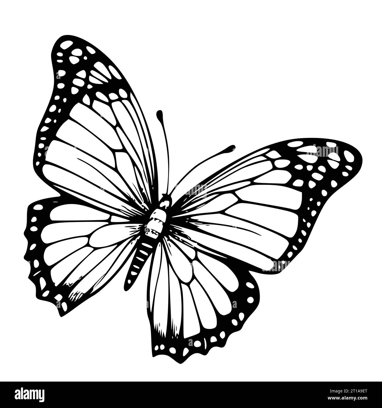 Butterflies With Flowers Coloring Page Drawing for Kids Stock Vector
