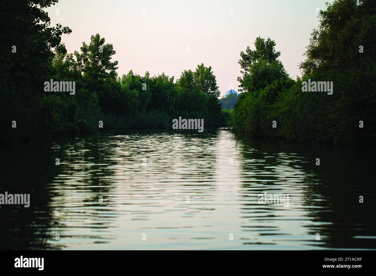 'Anzali River' Stock Photo