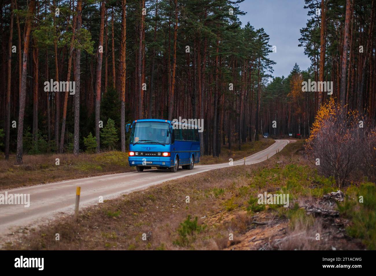17.11.2022. Poland, Drawa National Park. Setra S210H going with children from Jelenie to Człopa. Stock Photo