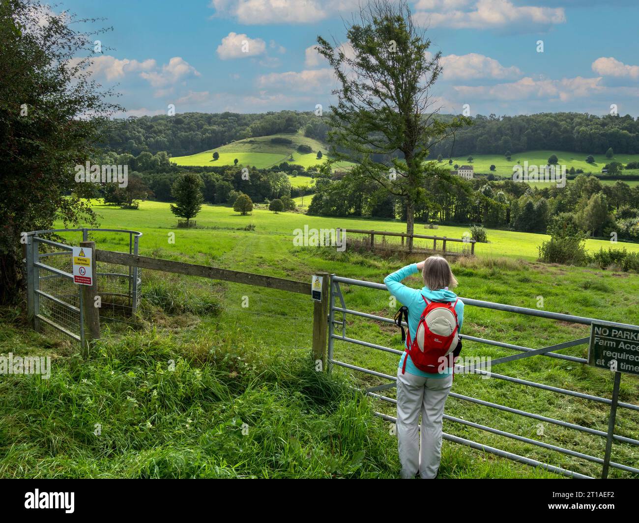 Walker / rambler admires coombe / valley between Wortley and Alderley on the Cotswold Way near Wotton Under Edge, Gloucestershire, England, UK Stock Photo