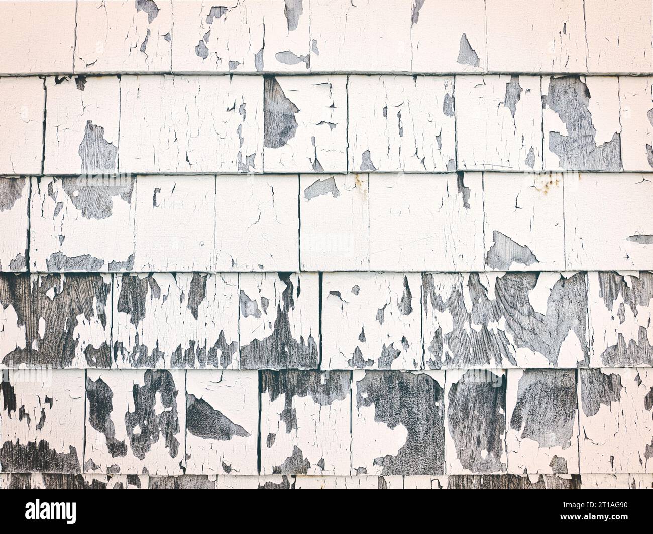 Close up texture detail showing peeling white paint against faded gray siding on old building in New England. Stock Photo