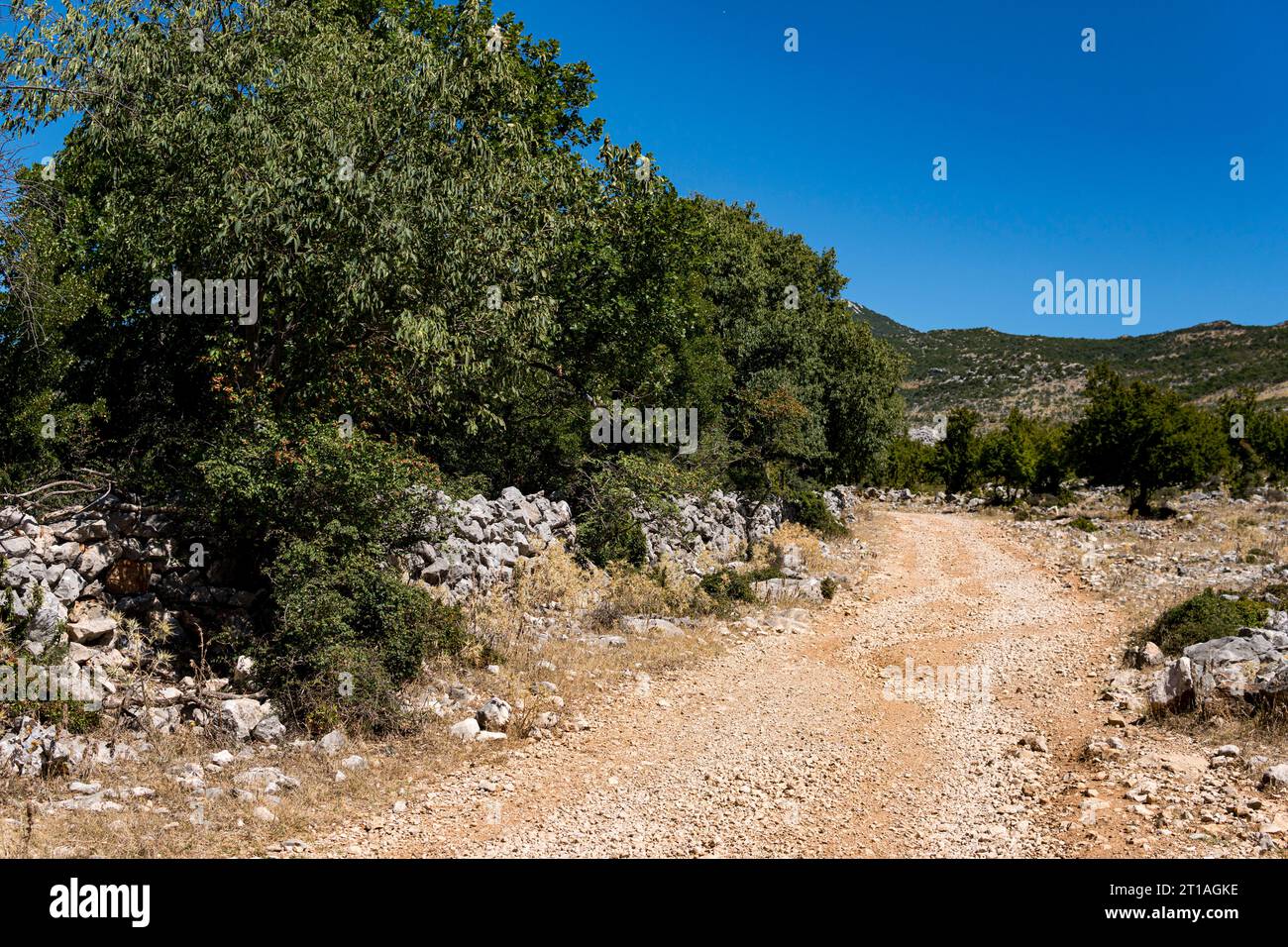 ground road through a hilly terrain in Croatia Stock Photo
