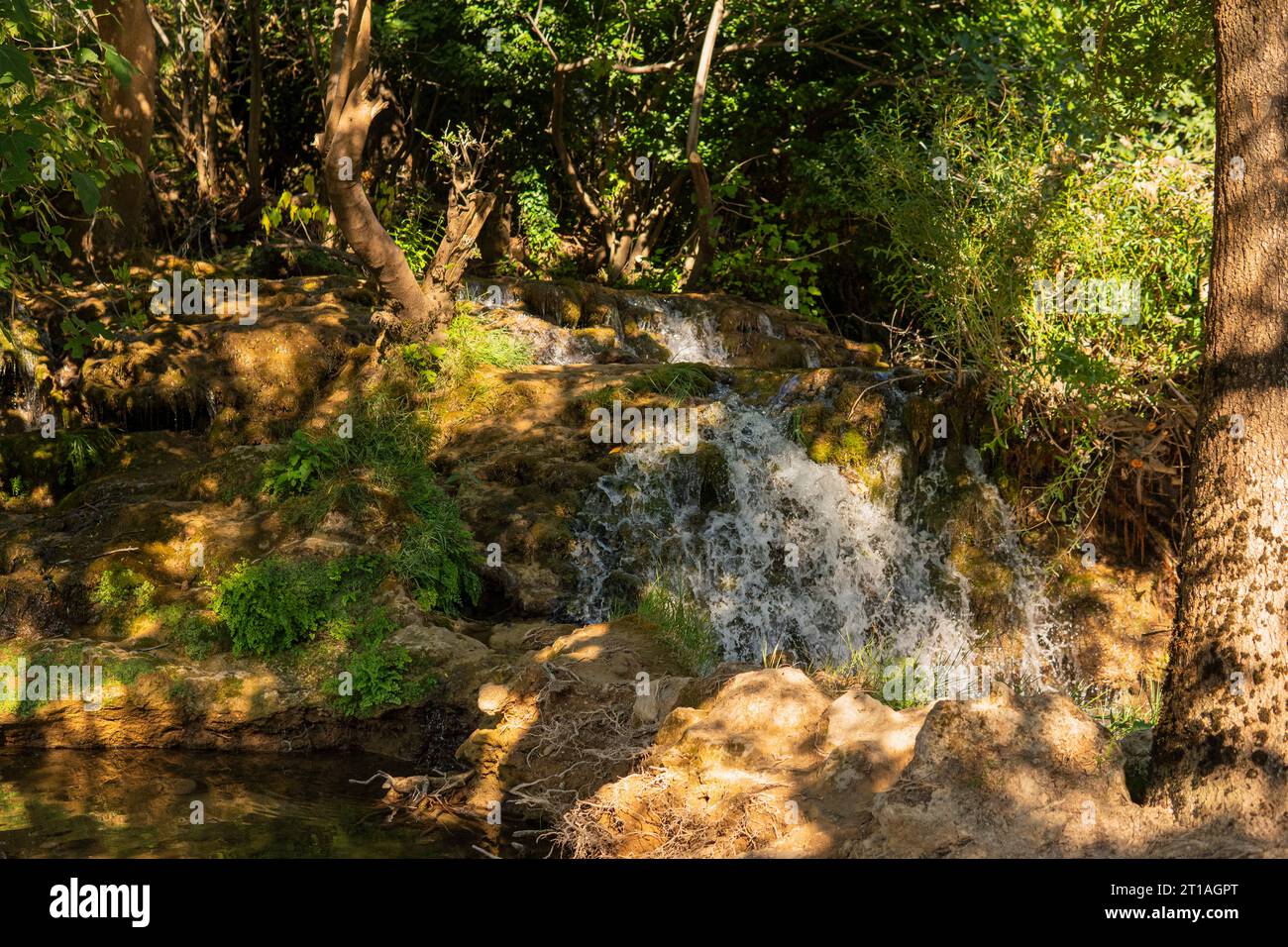 Small waterfall inside of a green forest during summer season Stock Photo